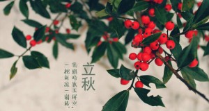 薈生敬老情 立秋送溫暖——薈生天津團(tuán)隊(duì)走進(jìn)美福敬老院開(kāi)展公益活動(dòng)